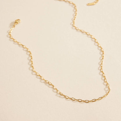 Chain Link | Stainless Steel Short Necklace: Gold